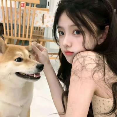 文豪野犬第一季